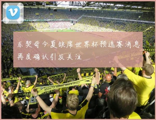 东契奇今夏缺席世界杯预选赛消息再度确认引发关注