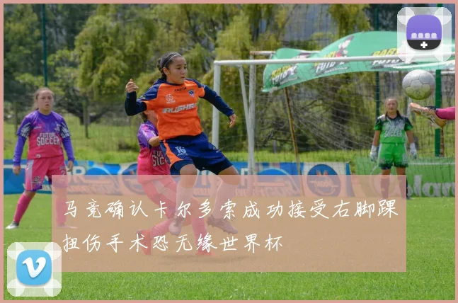 马竞确认卡尔多索成功接受右脚踝扭伤手术恐无缘世界杯
