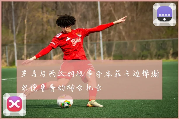 罗马与西汉姆联争夺本菲卡边锋谢尔德鲁普的转会机会